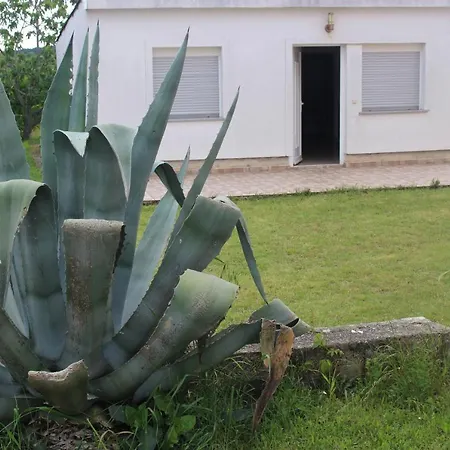 Holiday home Kemperle *